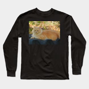 Him Layn' Long Sleeve T-Shirt